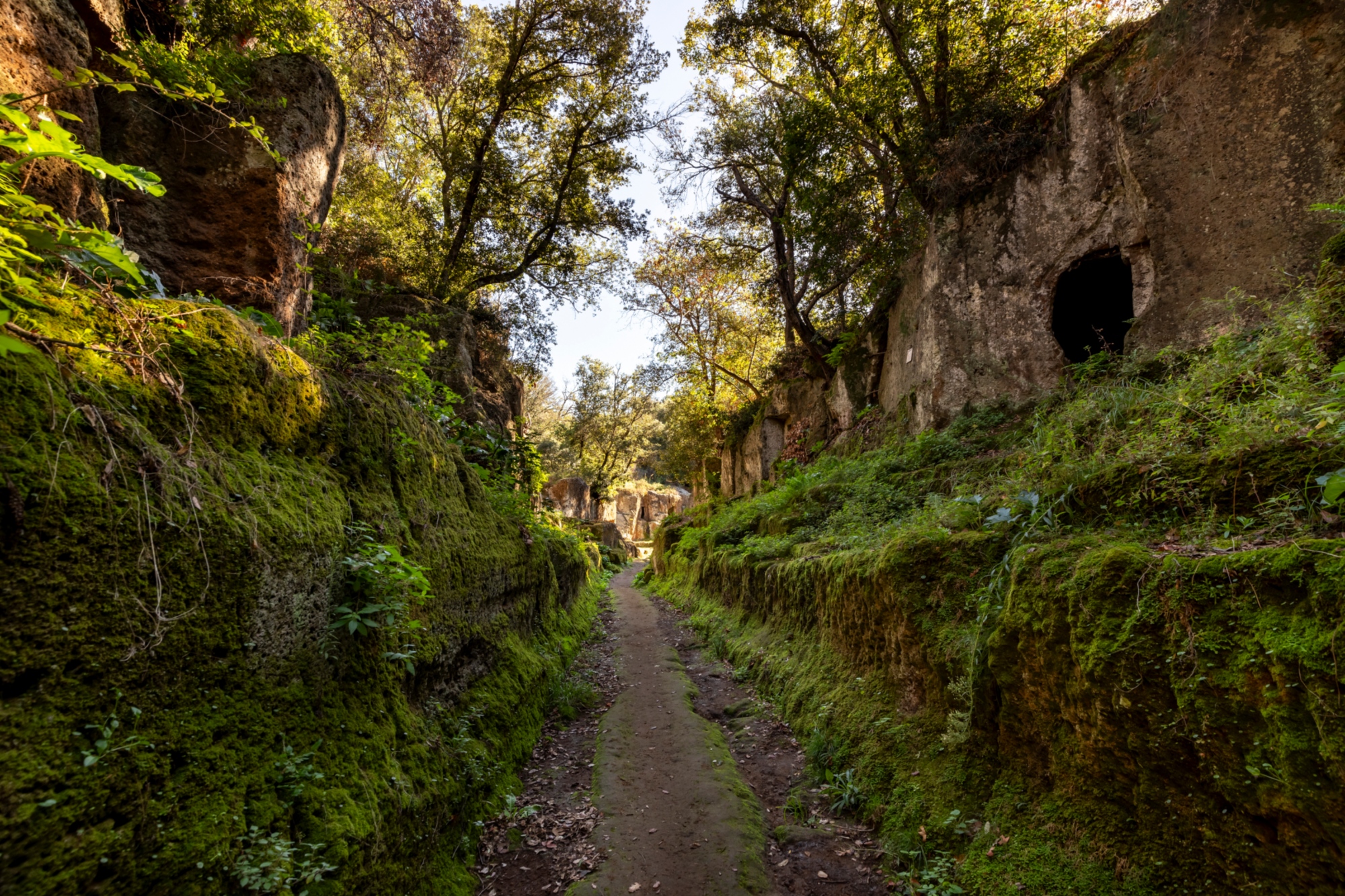 Sulle strade degli etruschi 